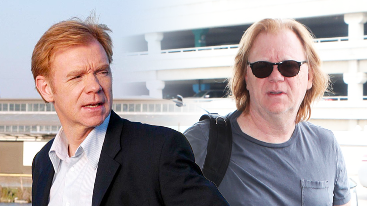 Pracovat s představitelem Horatia z Kriminálky Miami bylo peklo: Toxické chování a nepochopitelné požadavky